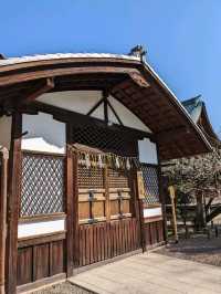 北野天満宮【北野の花手水】撫で牛の両脇の生花が華やかで綺麗