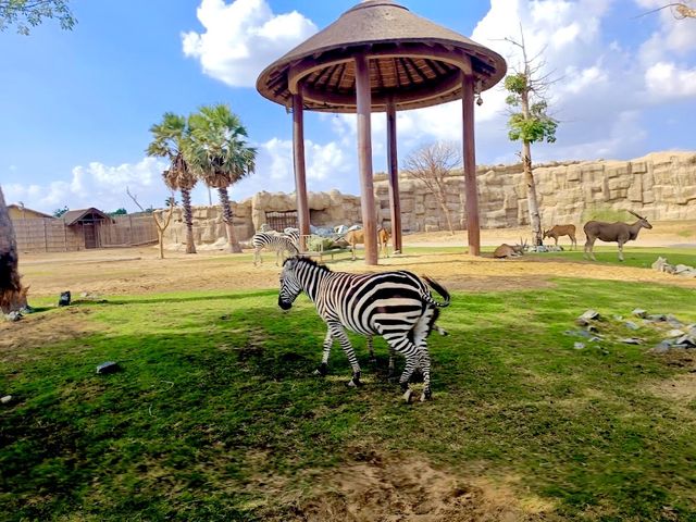 Dubai Safari Park