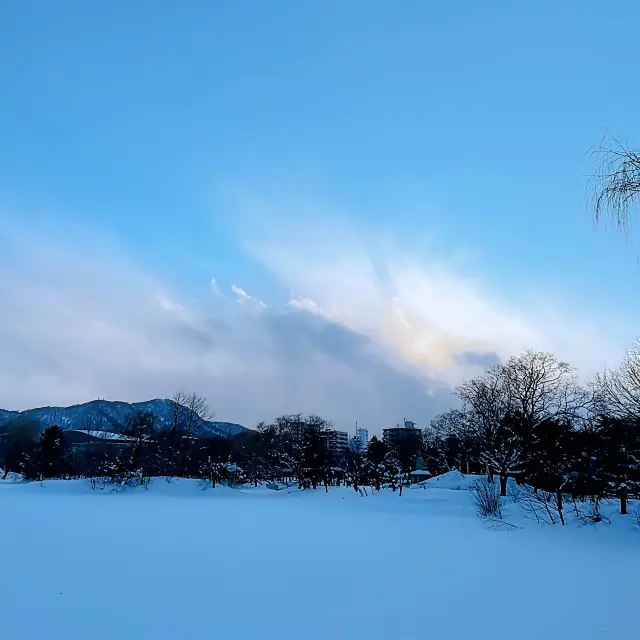 #中島公園 #北海道旅遊 #札幌景點