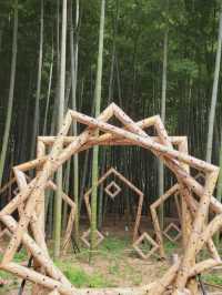 【デートにおすすめ🎋若山農場】