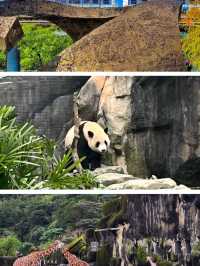 【臺北景點】臺北市立動物園：豐富多樣的動物種類，適合家庭遊玩