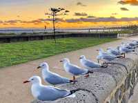 Altona Beach