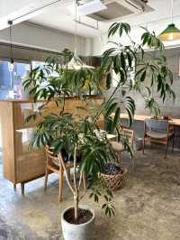 【東京】自然食のカフェみたいなヘルシーでボリューミーな定食屋やさん