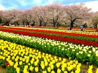 Fukaya Green Park