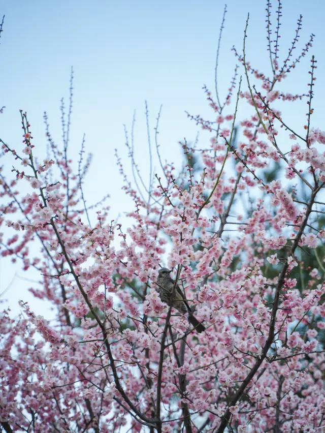 放慢腳步，享受當下