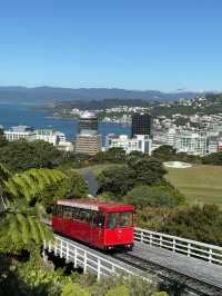 뉴질랜드 수도 웰링턴! 유명한 케이블카 Cable Car Museum