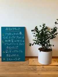 【うきはランチ】まるで絵画のような窓からの景色