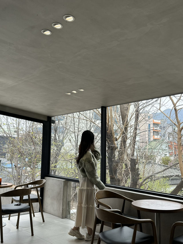경산 골목속 숨은 신상 카페 드리브 채광좋고 사진이 잘나오는곳 🍃 