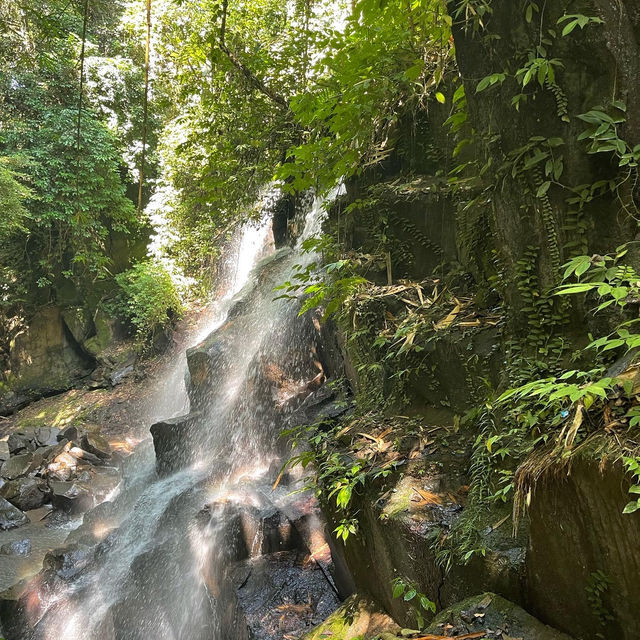 The soothing nature and waterfalls of Bali 