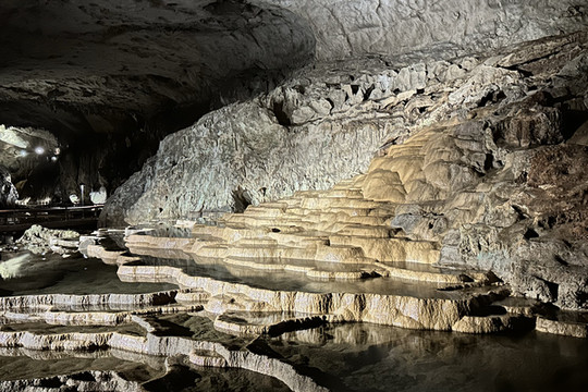 山口 秋芳洞 鍾乳洞 | Trip.com 美祢