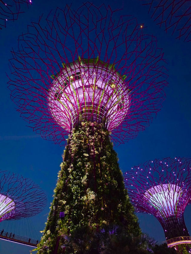 Gardens by the Bay