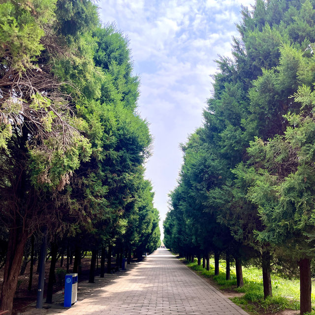 Exploring the Serene Gardens and Parks of Xian 🇨🇳