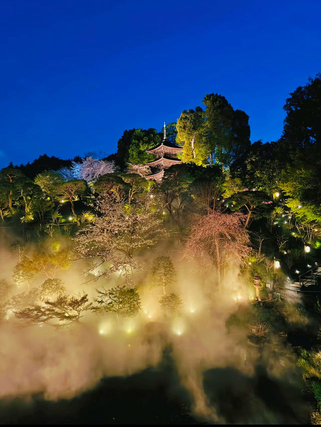 【東京】絶対に行ってほしい✨幻想的な世界