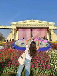 🌷지금가면 봄여행으로 찰떡인 "에버랜드 튤립축제"🌷