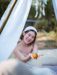 JINJU the orange farm 