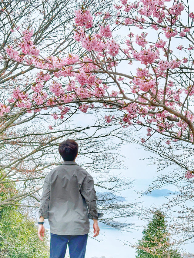 日本著名嘅欣賞櫻花地點🇯🇵