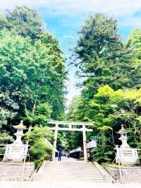 【新潟県】新潟県随一のパワースポット彌彦神社！