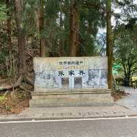 只能用壯麗來形容的「🌳張家界國家森林公園」🌳
