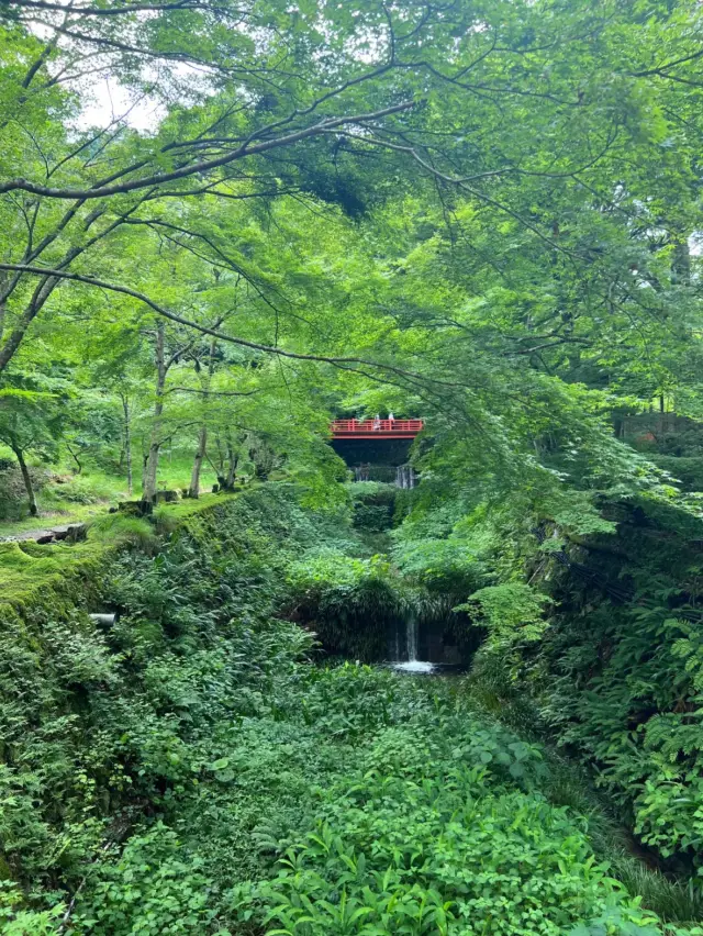 藏於世外的桃源：三千院 