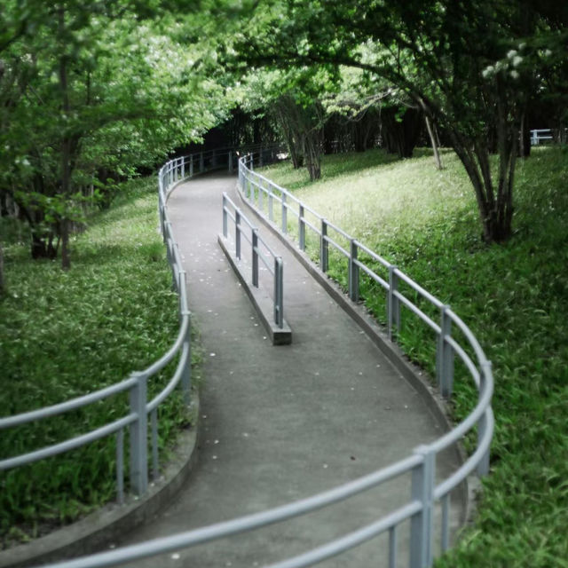 「蔡厝港公園：綠意盎然的自然綠洲，感受大自然的放鬆」