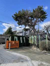 【大阪】集金満足・心願成就の神様　大歳社