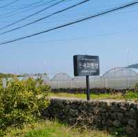 멀리 한라산과 감귤밭이 보이는 고즈넉한 제주 펜션 - 돈내코 펜션