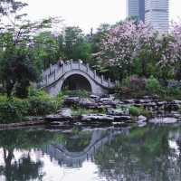 大湳公園～水鄉夢境