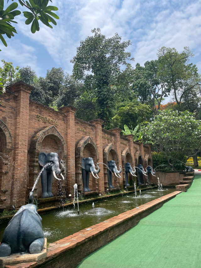 ไปดูสัตว์ที่สวนสัตว์เชียงใหม่