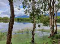 Cattana Wetlands