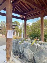 【福島】東北のお伊勢さん⛩️開成山大神宮