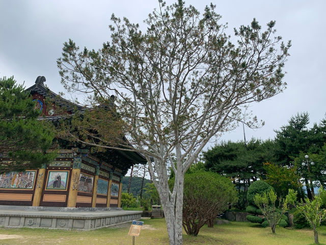 "한 층 더 가까이, 성철스님의 이야기를 찾아: 성철스님생가 여행기"
