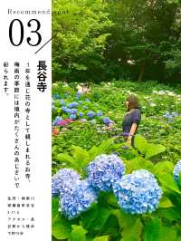 【永久保存版】おすすめあじさいスポット5選