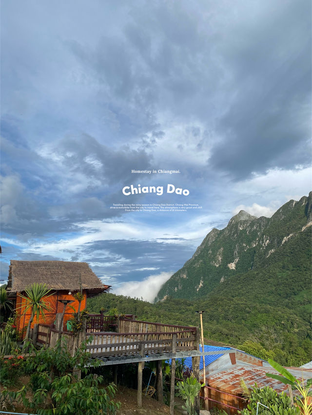 บ้านนาเลาใหม่ | เชียงดาว 🏡⛰️🌧️💫