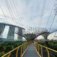 🇸🇬 OCBC Skyway