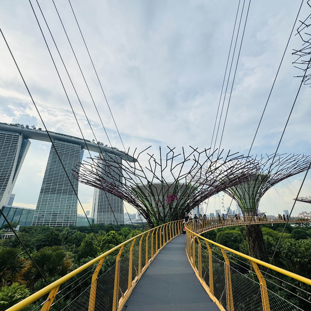 🇸🇬 OCBC Skyway