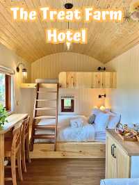 🏕 The Treat Farm Hotel 