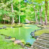 Nature's Haven in Asahikawa