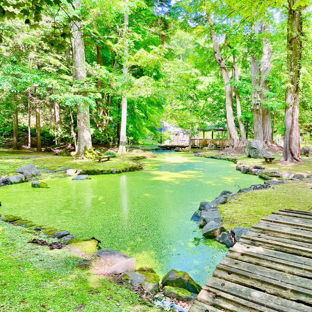 Nature's Haven in Asahikawa