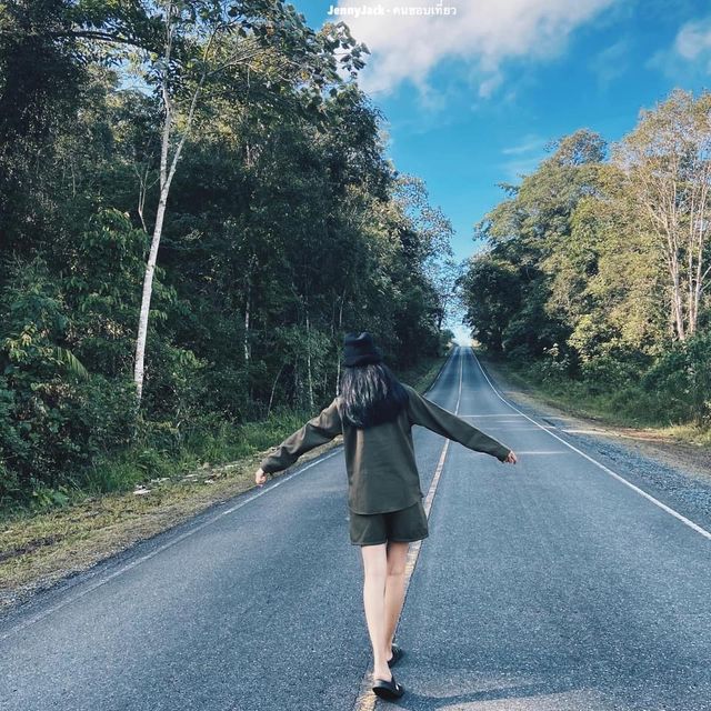 เขาใหญ่ เที่ยวได้ทั้งปี #อุทยานแห่งชาติเขาใหญ่ 