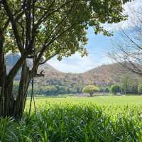 KEEREE MANTRA | อาหารหลักร้อย วิวหลักล้าน