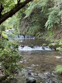 〜京都府〜MAP付！日本の夏🎐貴船神社周辺プラン🌱