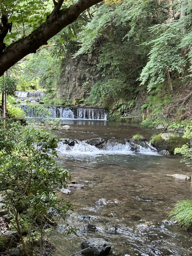 〜京都府〜MAP付！日本の夏🎐貴船神社周辺プラン🌱