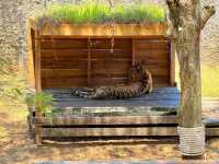 Lok Kawi Wildlife Park