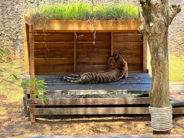 Lok Kawi Wildlife Park