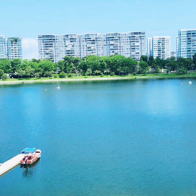 Viewpoint of bedok reservoir 