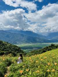 花蓮六十石山金針花