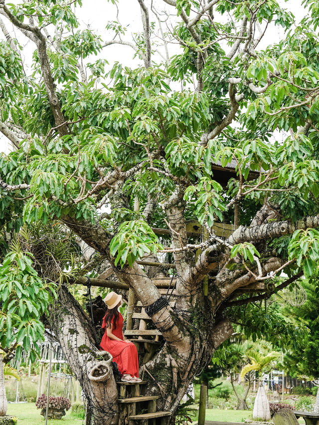 【沖縄｜沖縄市】女子旅にも子連れ旅にもおすすめ！東南植物園🌴