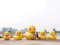 มาหาน้องเป็ดเหลือง ที่อุดรธานี
