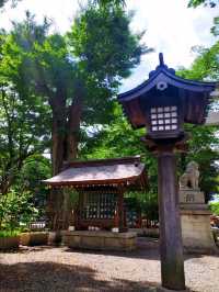 祈福參拜「大國魂神社」欣賞精緻木雕建築藝術
