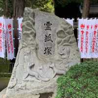 愛知の魅力。名古屋だけじゃない。狐に出会う。